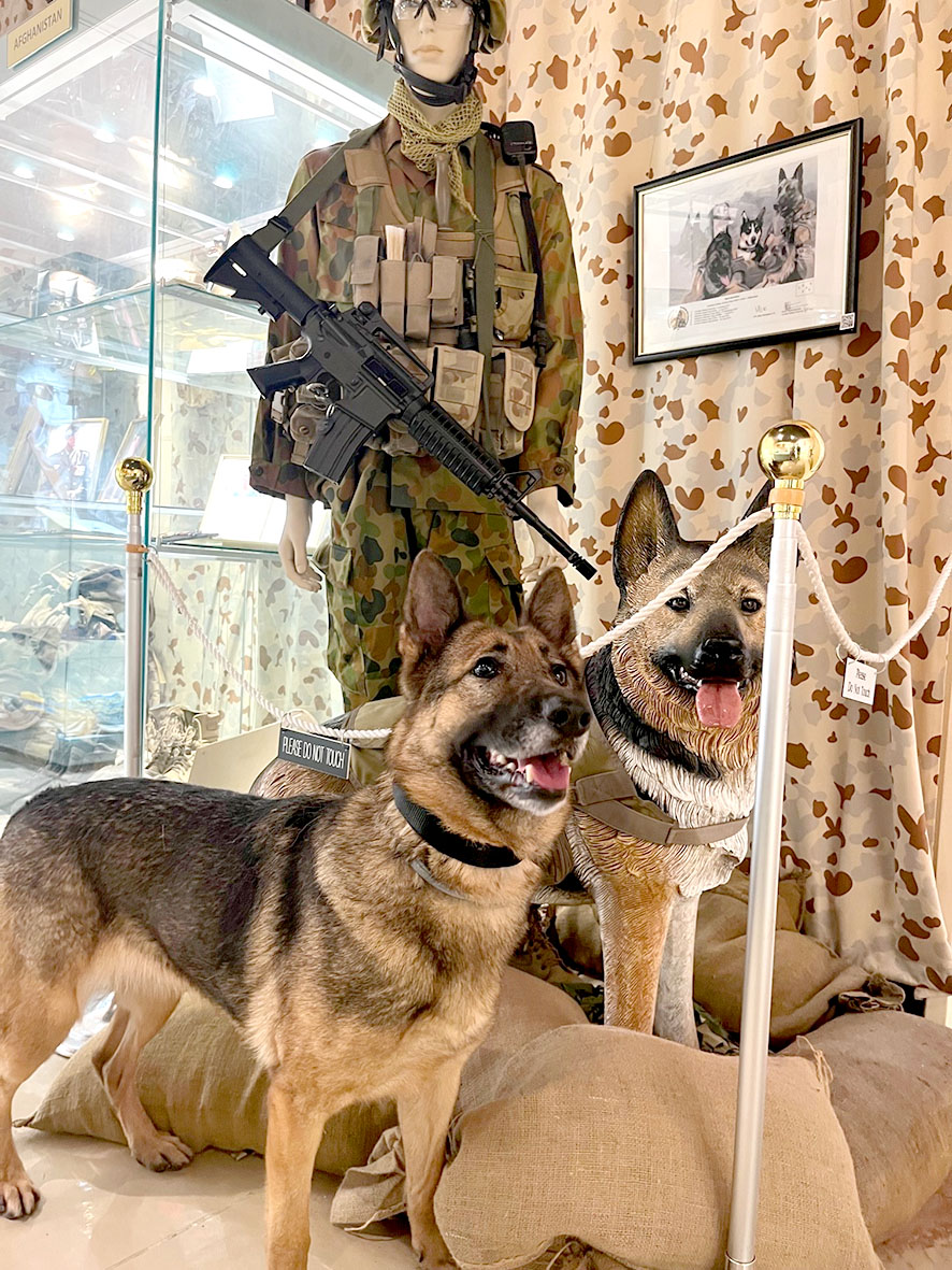 Hemi at the AMOSA War Dog Display